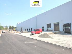 Pronájem výrobních prostor, Ostrava - Kunčičky, Rajnochova, 34895 m2