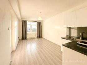 Pronájem bytu 1+kk, Brno, Okružní, 26 m2