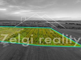 Prodej sadu/vinice, Rakvice, 210277 m2