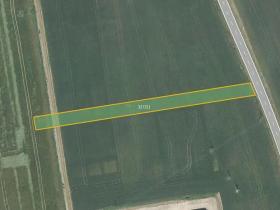 Prodej pole, Dub nad Moravou, 6158 m2