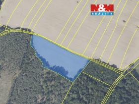 Prodej pole, Svatý Mikuláš, 11560 m2