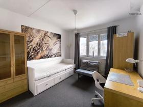 Pronájem bytu 1+kk, Brno, Veletržní, 19 m2