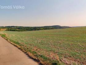 Prodej pole, Diváky, 4049 m2