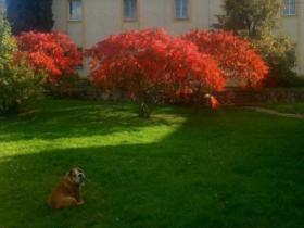 Pronájem bytu 2+1, Svrkyně, 90 m2