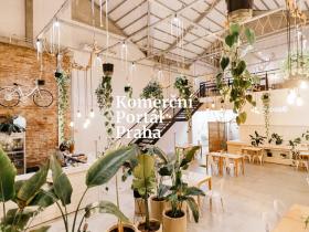 Pronájem restaurace, Praha, Myslíkova, 250 m2