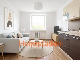 Pronájem bytu 1+kk, Havířov - Město, Vardasova, 22 m2