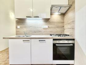 Pronájem bytu 1+1, Praha - Vinohrady, Mánesova, 48 m2