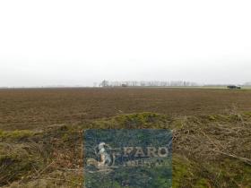 Prodej pole, Dyje, 8295 m2