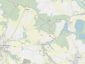 Dražba lesa, Trhové Sviny, 590 m2