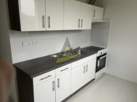 Pronájem bytu 3+1, Dolní Dvořiště - Rychnov nad Malší, 72 m2