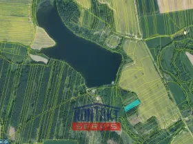 Prodej lesa, Sepekov, 2934 m2