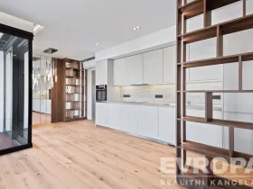 Pronájem bytu 1+kk, Praha - Břevnov, U Petřin, 35 m2