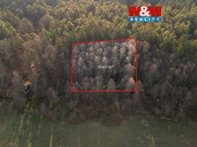 Prodej lesa, Týniště nad Orlicí - Štěpánovsko, 1042 m2