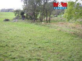 Prodej louky, Janův Důl, 2749 m2