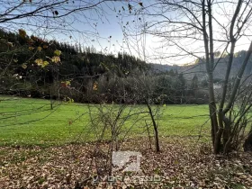 Prodej pole, Jesenný, 2409 m2