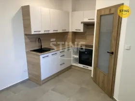 Pronájem bytu 1+1, Opava, Hviezdoslavova, 40 m2