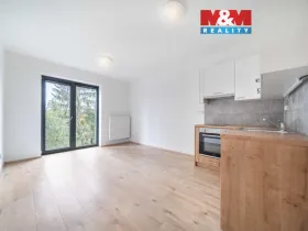 Pronájem bytu 1+kk, Třemošná, Školní, 32 m2