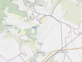 Dražba lesa, Jeviněves, 10319 m2