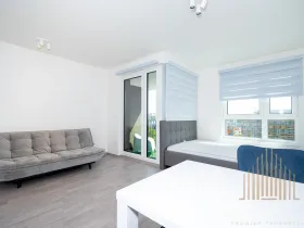 Pronájem bytu 1+kk, Praha - Žižkov, Olgy Havlové, 38 m2