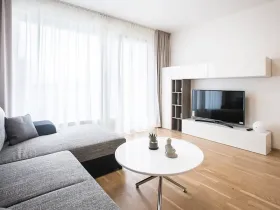 Pronájem bytu 2+kk, Praha - Karlín, Nekvasilova, 56 m2