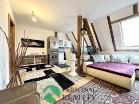 Prodej bytu 5+kk, Litvínov - Horní Litvínov, S. K. Neumanna, 216 m2