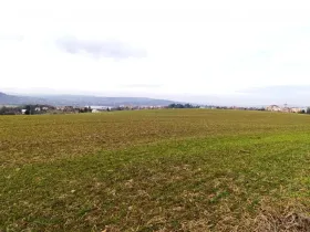 Prodej pole, Valašské Meziříčí - Podlesí, 20939 m2