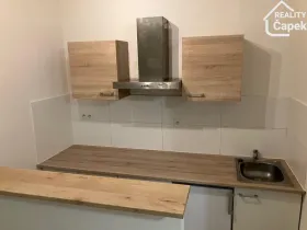 Pronájem bytu 1+kk, Ostrava - Hrabůvka, Krakovská, 22 m2