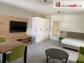Pronájem bytu 1+kk, Opava - Město, Dolní náměstí, 49 m2