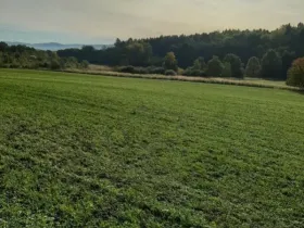 Prodej pole, Postupice - Čelivo, 12039 m2