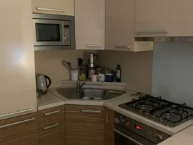 Pronájem rodinného domu, Hodonín, Levandulová, 100 m2