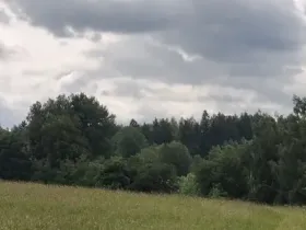 Prodej pozemku, Pomezí nad Ohří, 39941 m2