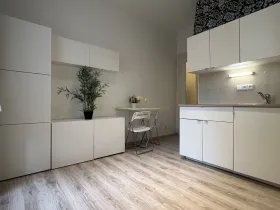 Pronájem bytu 1+kk, Praha - Vršovice, Na spojce, 19 m2