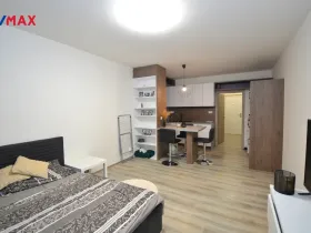 Pronájem bytu 1+kk, Olomouc, Aloise Rašína, 33 m2