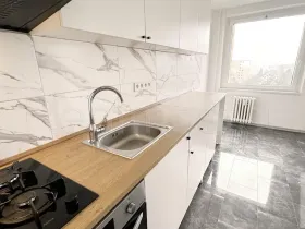 Pronájem bytu 4+1, Ústí nad Labem - Krásné Březno, Žežická, 76 m2