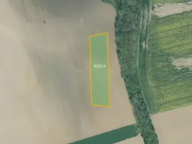 Prodej pole, Dnešice, 3831 m2