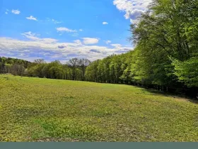 Prodej pozemku pro bydlení, Velká Polom, Okružní, 2292 m2