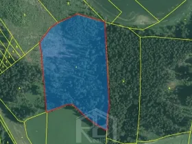 Prodej lesa, Bořetín, 31787 m2