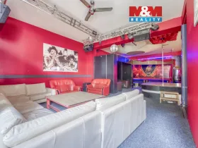 Pronájem obchodního prostoru, Plzeň - Jižní Předměstí, Havlíčkova, 185 m2