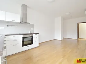 Pronájem bytu 3+kk, Brno - Veveří, 68 m2