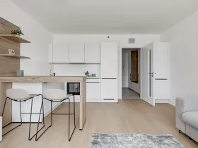 Pronájem bytu 1+kk, Praha - Vysočany, Hindlova, 30 m2