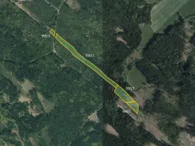 Prodej lesa, Horní Radouň, 21861 m2