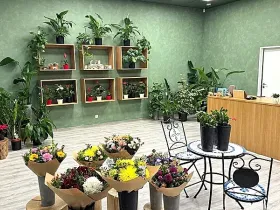 Pronájem obchodního prostoru, Brno, náměstí Svobody, 64 m2