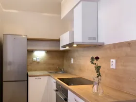 Pronájem bytu 1+kk, Brno, Gajdošova, 46 m2