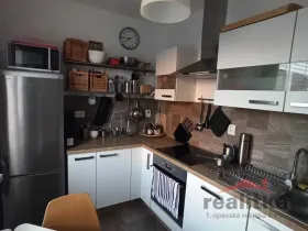 Prodej bytu 2+1, Opava - Předměstí, Purkyňova, 57 m2