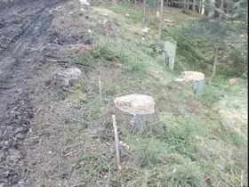 Prodej lesa, Žihobce, 802 m2