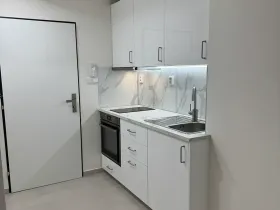 Pronájem bytu 1+kk, Praha - Vinohrady, Nad olšinami, 24 m2