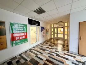 Pronájem kanceláře, Ostrava - Moravská Ostrava, Vítkovická, 39 m2