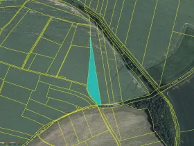 Prodej zahrady, Pravonín - Volavka, 6189 m2