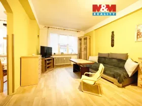 Prodej bytu 1+1, Brno - Veveří, Cihlářská, 43 m2