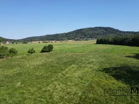 Prodej louky, Křižany, 2663 m2